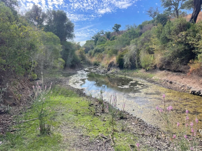 Quinta T3 para Venda em Abela Foto 52