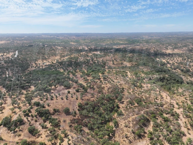 Quinta T3 para Venda em Abela Foto 58