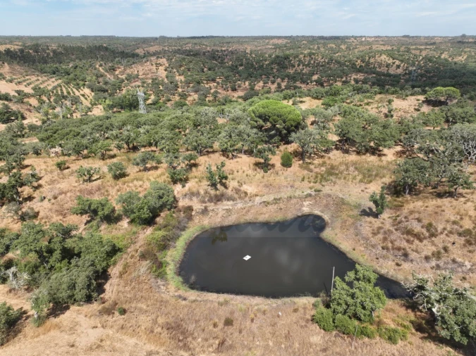 Quinta T3 para Venda em Abela Foto 61