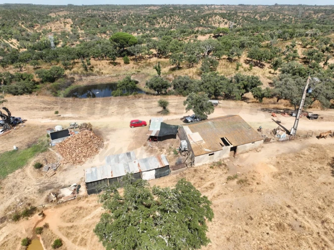 Quinta T3 para Venda em Abela Foto 62