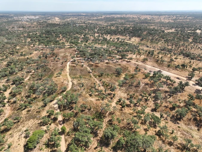 Quinta T3 para Venda em Abela Foto 68