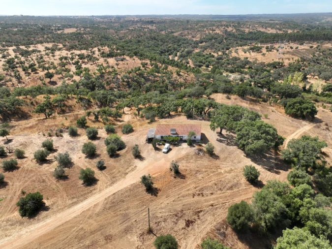 Quinta T3 para Venda em Abela Foto 71