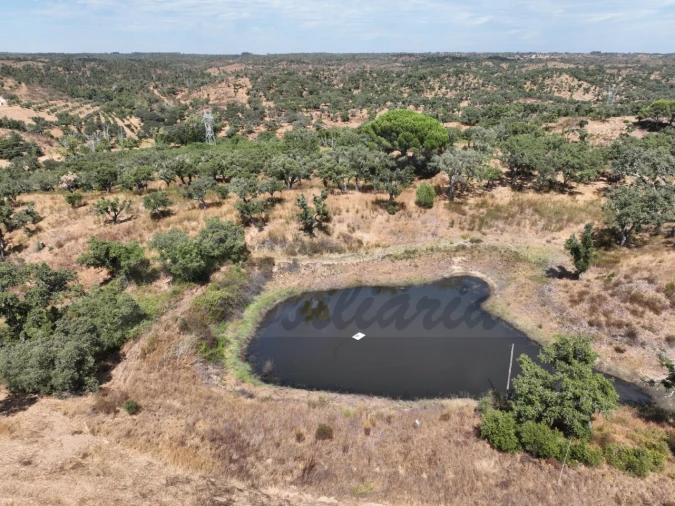 Quinta T3 para Venda em Abela Foto 73