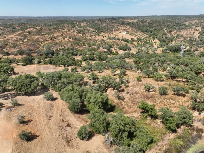 Quinta T3 para Venda em Abela Foto 74