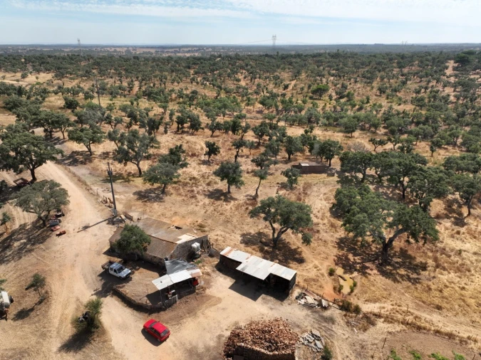 Quinta T3 para Venda em Abela Foto 76