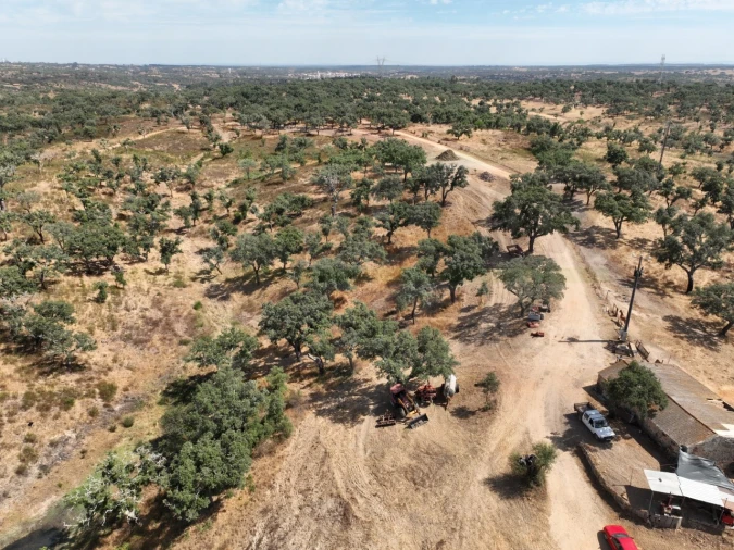 Quinta T3 para Venda em Abela Foto 77