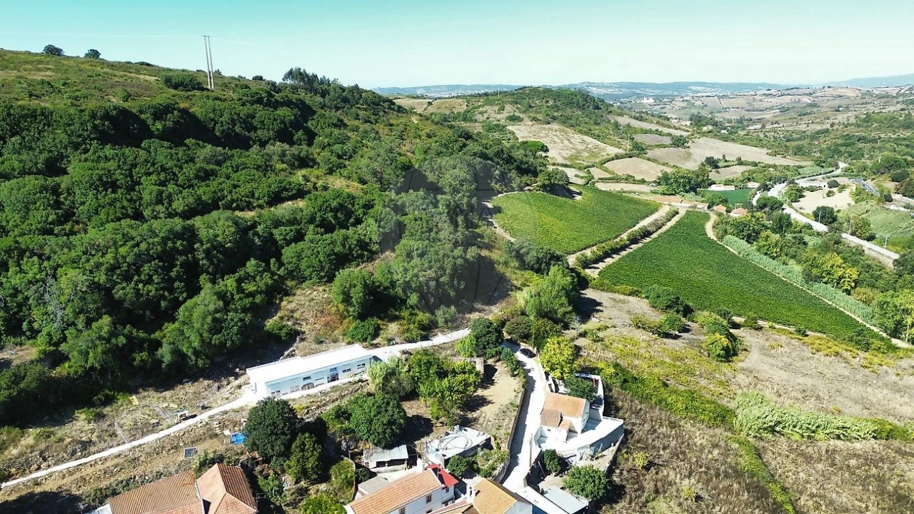 Moradia T1 para Venda em Sobral de Monte Agraço Foto 6