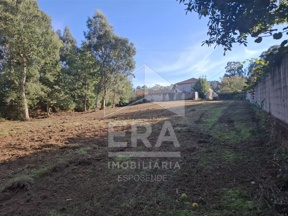 Terreno para Venda em Forjães Foto 3