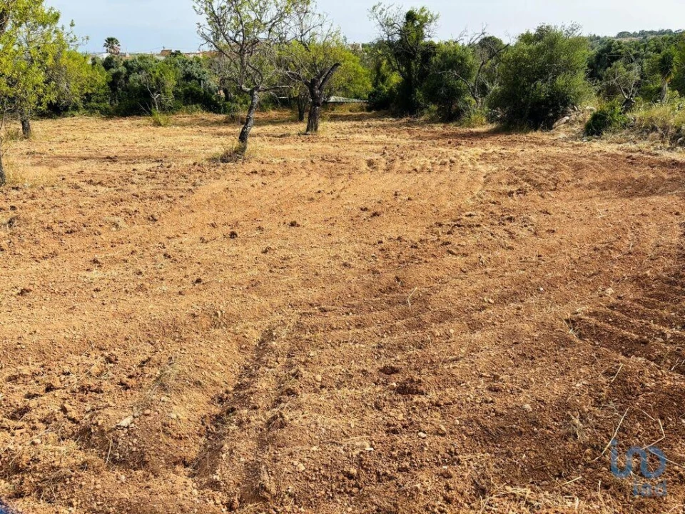 Terreno para Venda em Paderne Foto 3