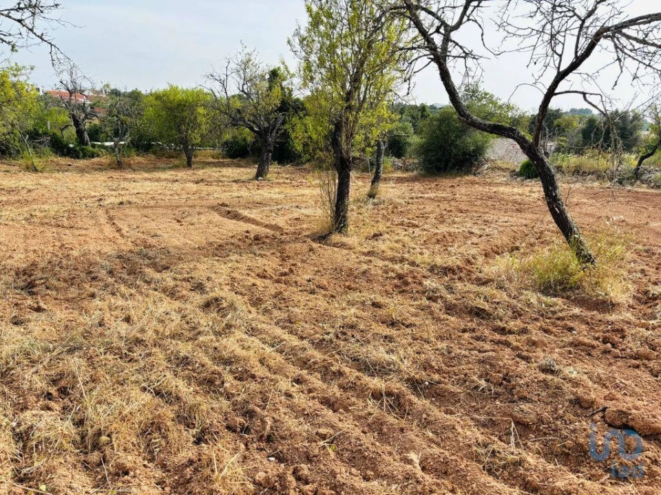 Terreno para Venda em Paderne Foto 12