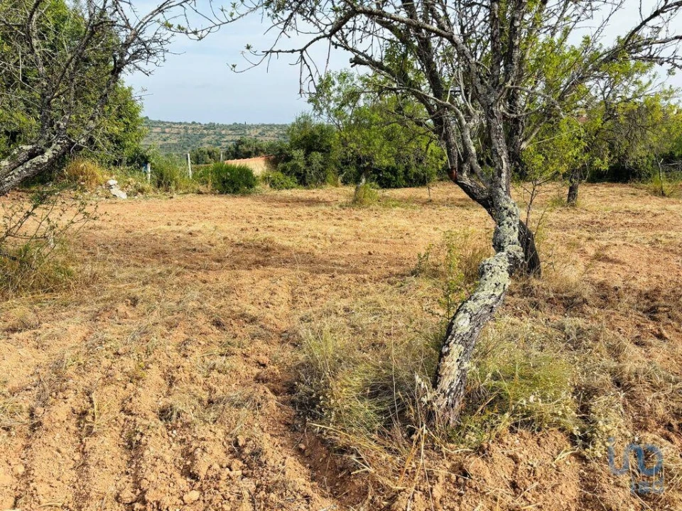 Terreno para Venda em Paderne Foto 11
