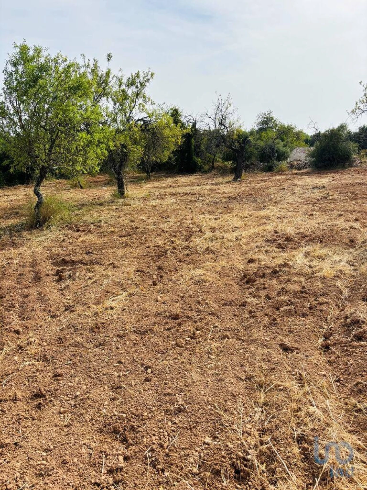 Terreno para Venda em Paderne Foto 10