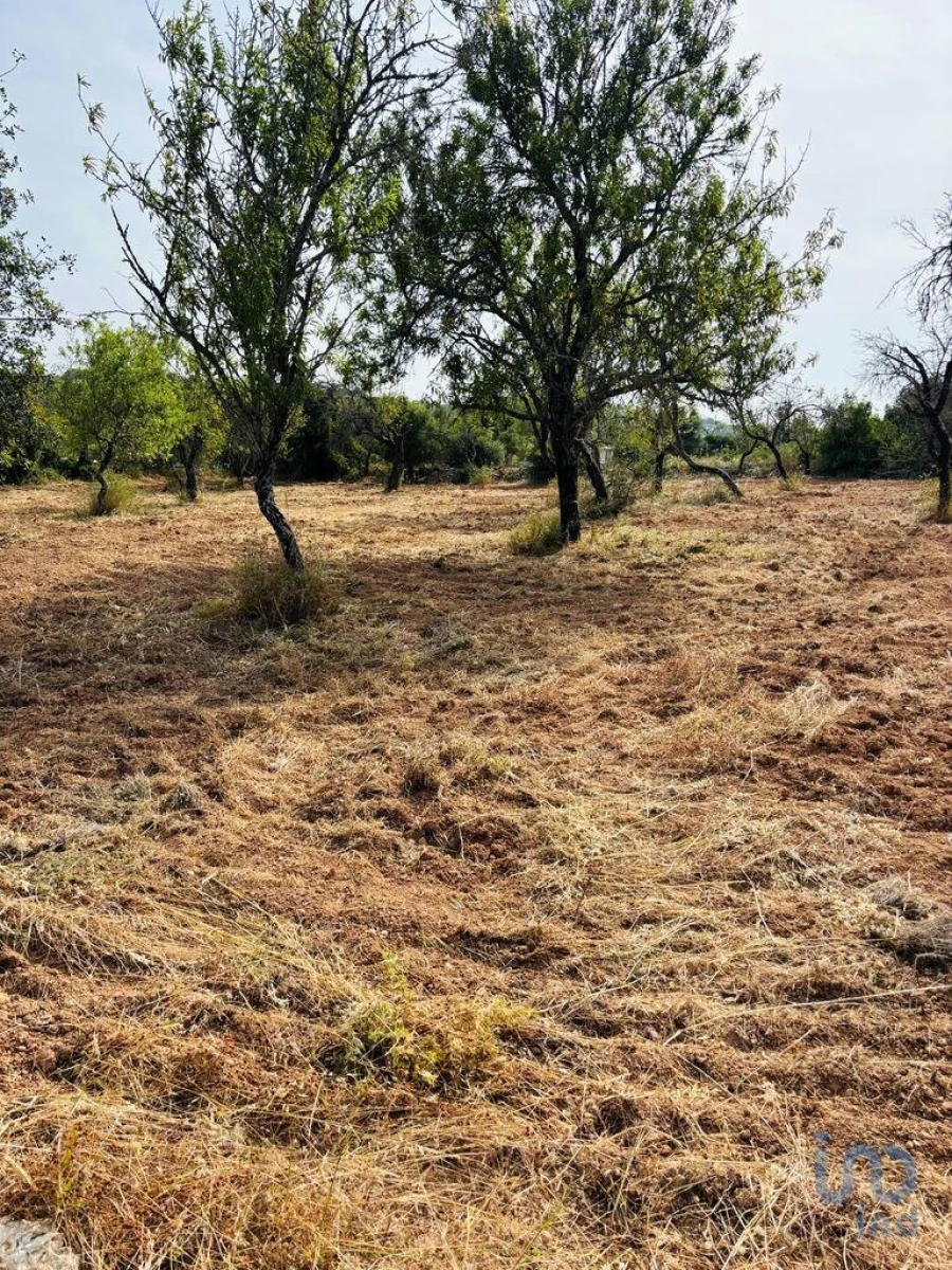 Terreno para Venda em Paderne Foto 7