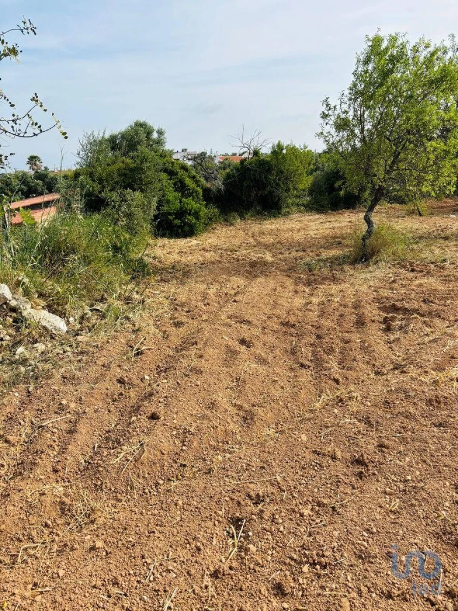 Terreno para Venda em Paderne Foto 9