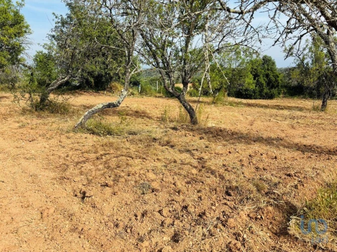 Terreno para Venda em Paderne Foto 6