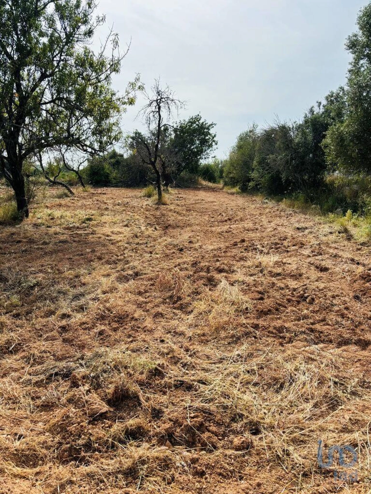Terreno para Venda em Paderne Foto 8