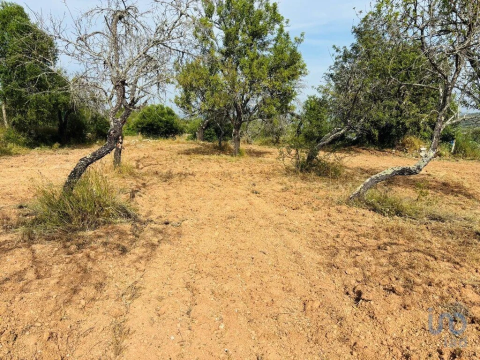 Terreno para Venda em Paderne Foto 5