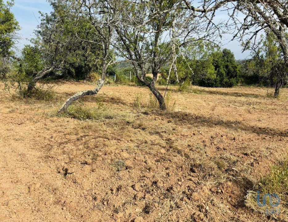 Terreno para Venda em Paderne Foto 2