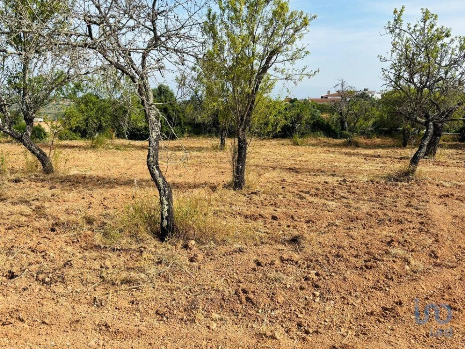 Terreno para Venda em Paderne Foto 4