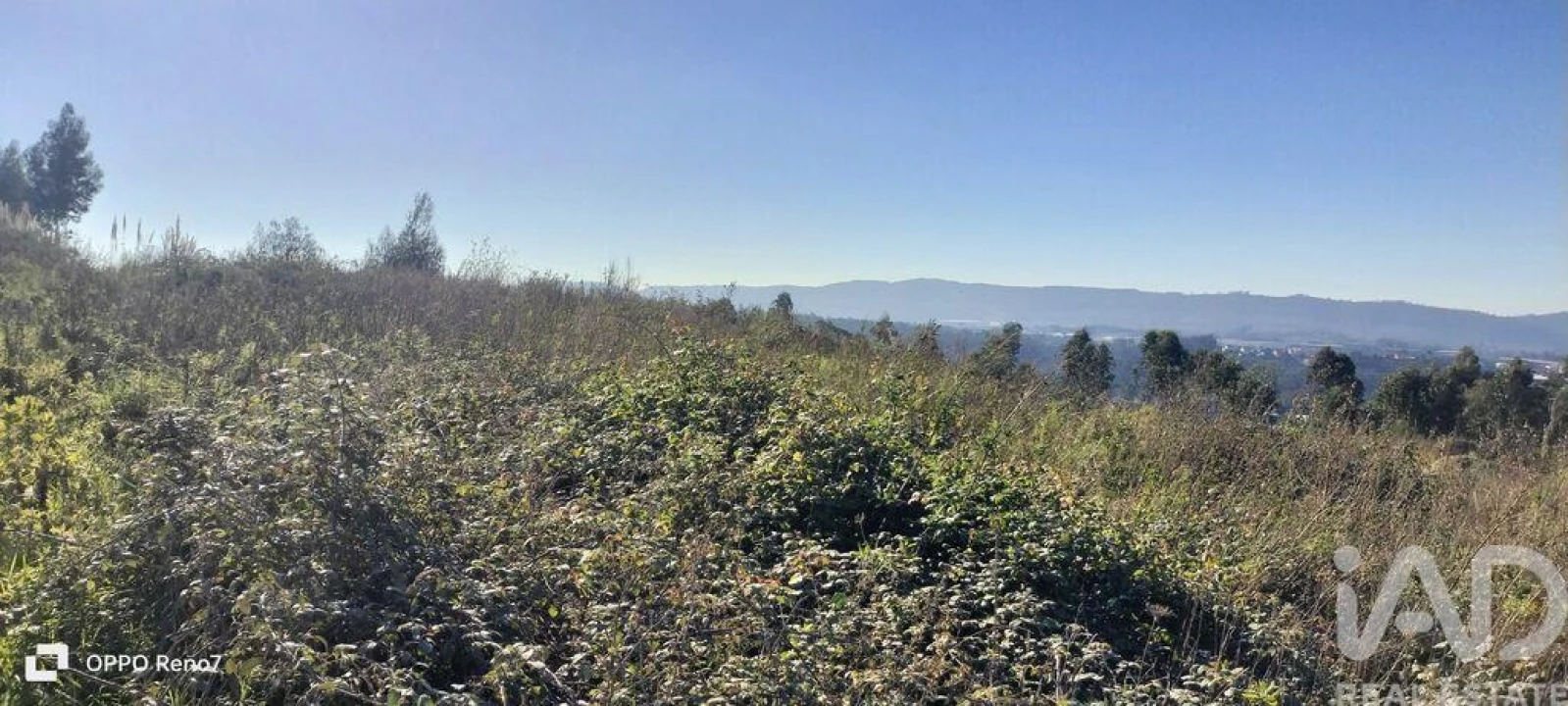 Terreno para Venda em Gandra Foto 24