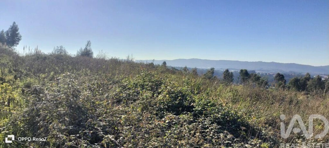 Terreno para Venda em Gandra Foto 24