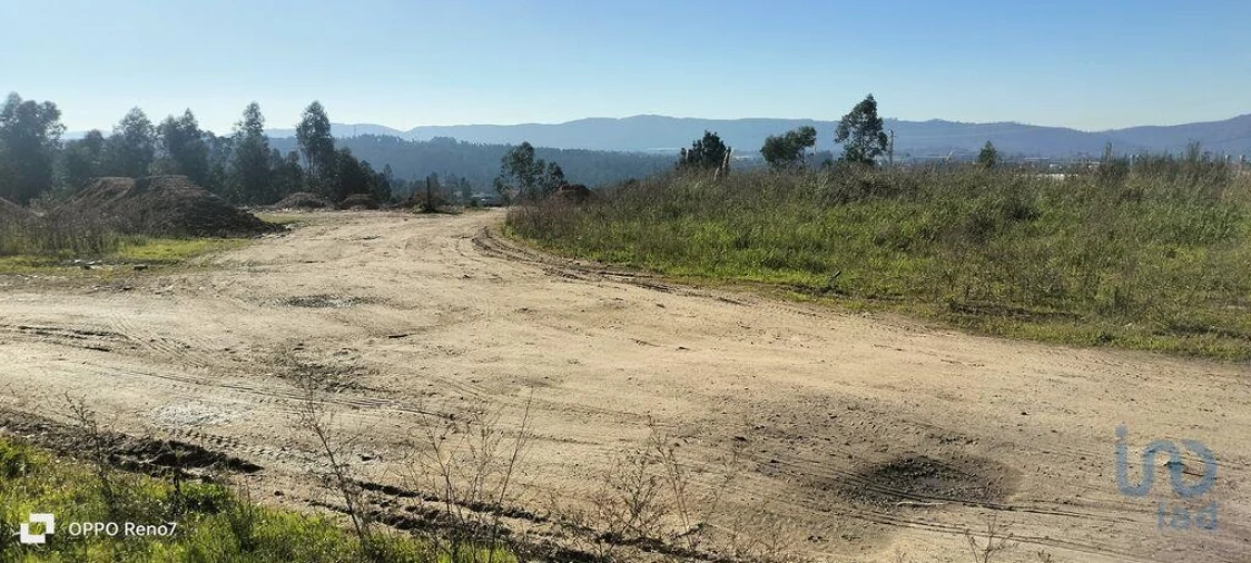 Terreno para Venda em Gandra Foto 12