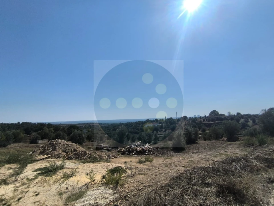 Moradia para Venda em Mouriscas Foto 6