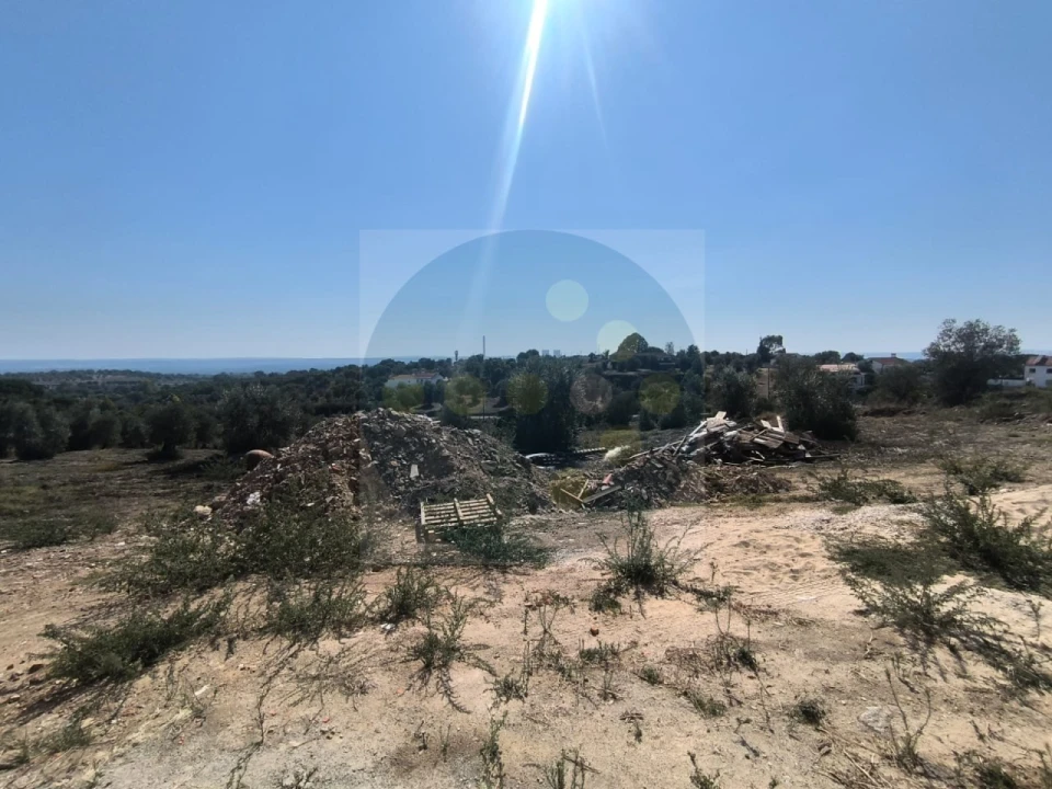 Moradia para Venda em Mouriscas Foto 8