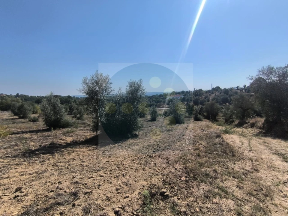 Moradia para Venda em Mouriscas Foto 11