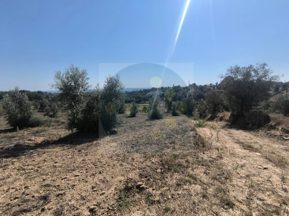 Moradia para Venda em Mouriscas Foto 12