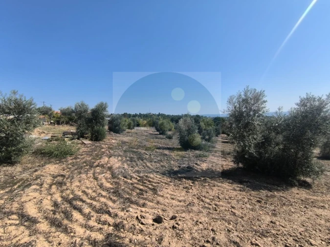 Moradia para Venda em Mouriscas Foto 6