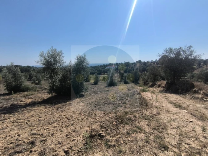 Moradia para Venda em Mouriscas Foto 12