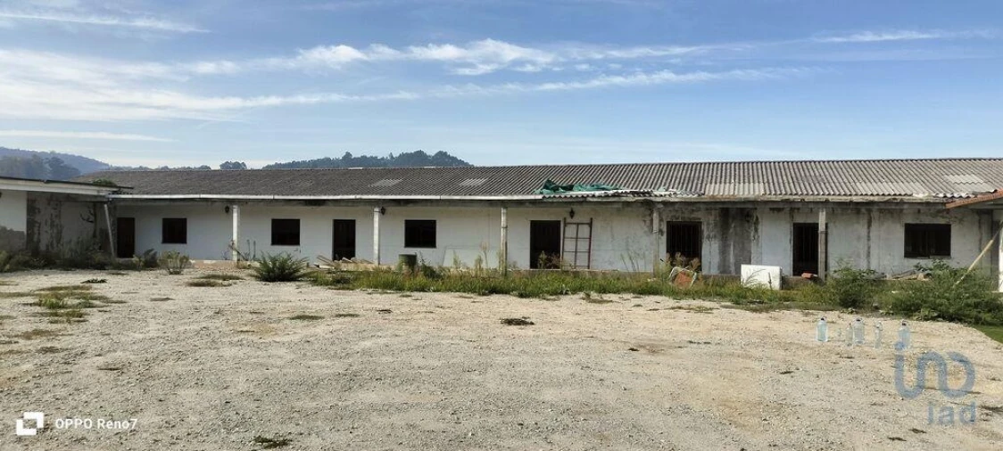 Prédio para Venda em Paredes Foto 5