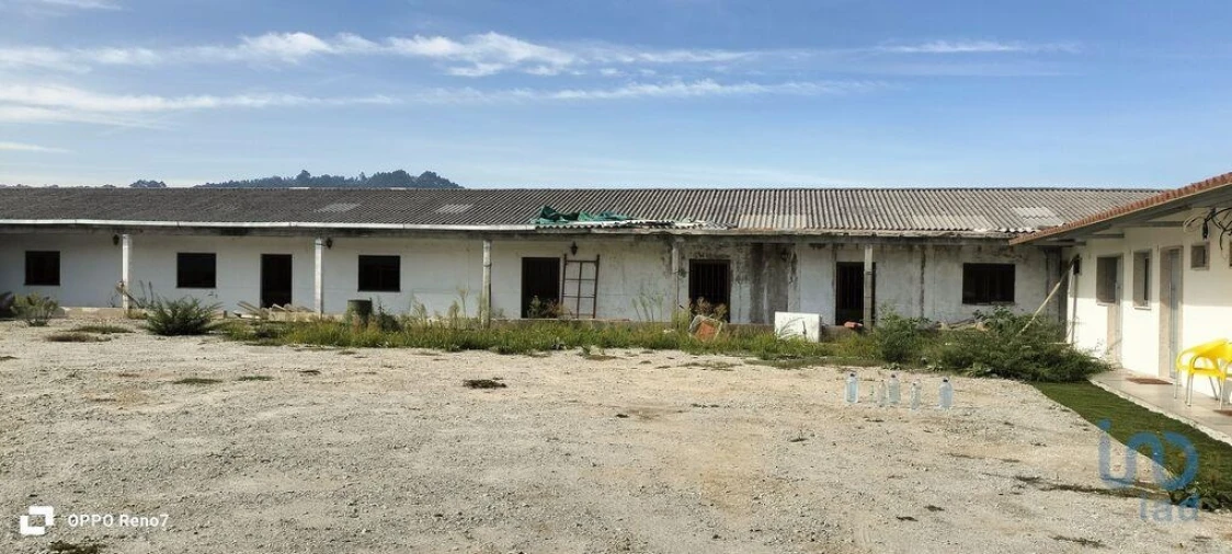 Prédio para Venda em Paredes Foto 3