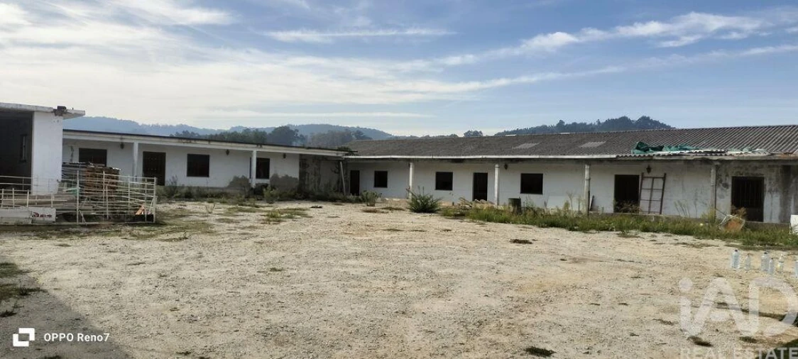 Prédio para Venda em Paredes Foto 18