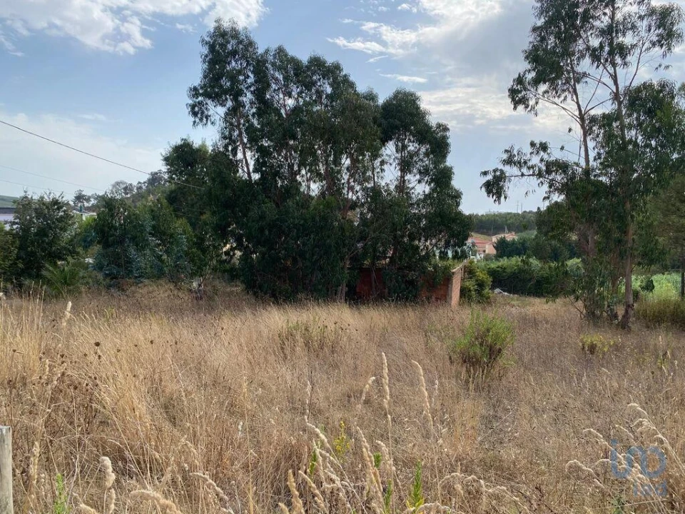 Terreno para Venda em Santa Maria, São Pedro e Matacães Foto 9