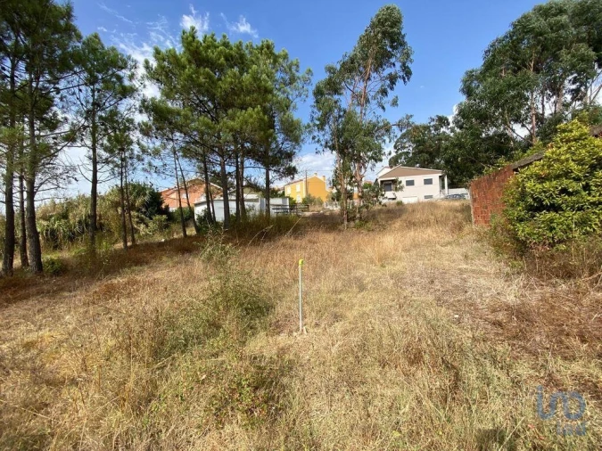Terreno para Venda em Santa Maria, São Pedro e Matacães Foto 5
