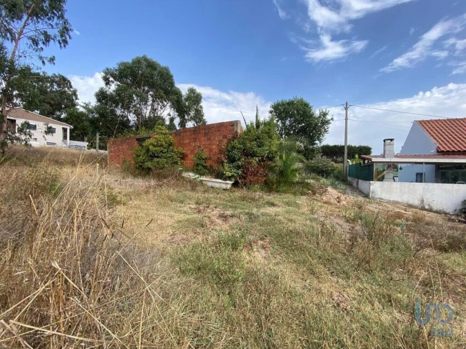 Terreno para Venda em Santa Maria, São Pedro e Matacães Foto 6
