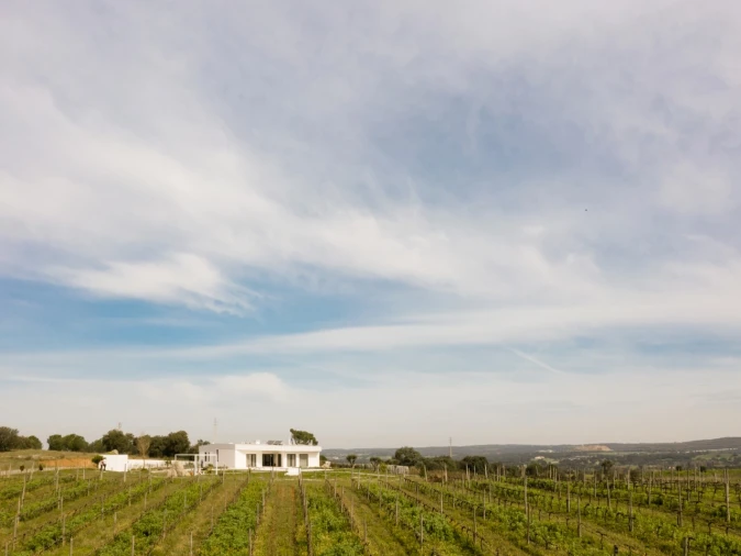 Moradia T4 para Venda em Nossa Senhora da Vila, Nossa Senhora do Bispo e Silveiras Foto 8