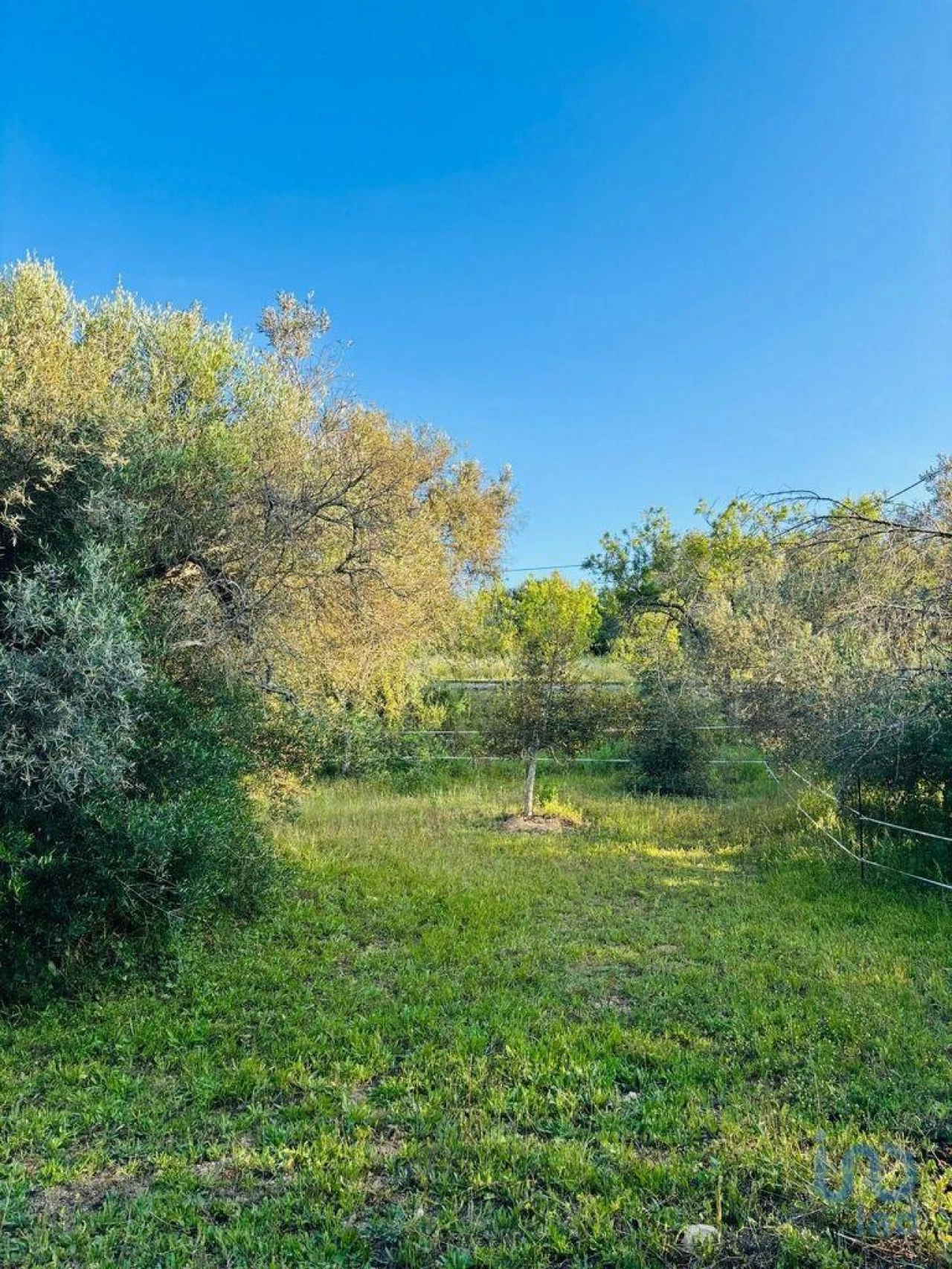 Terreno para Venda em Paderne Foto 8
