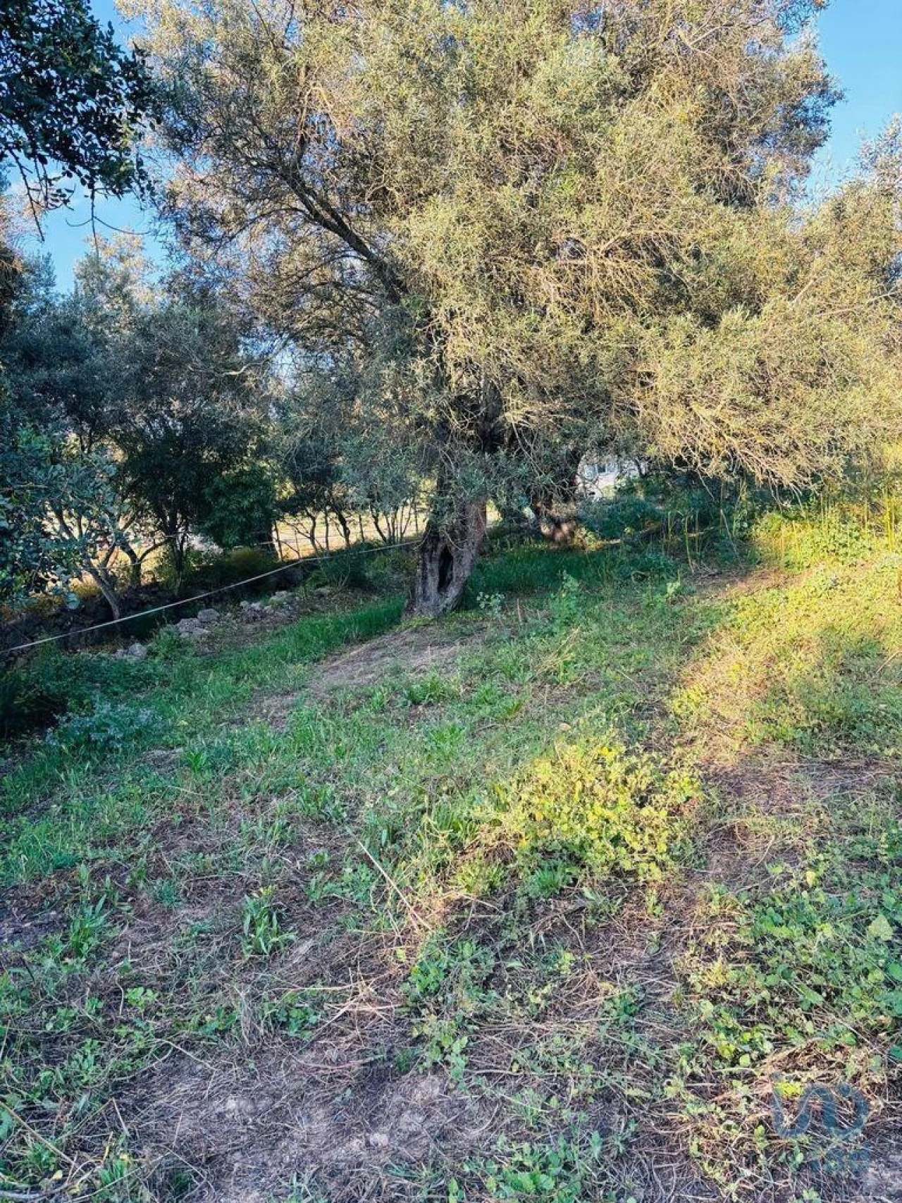 Terreno para Venda em Paderne Foto 12