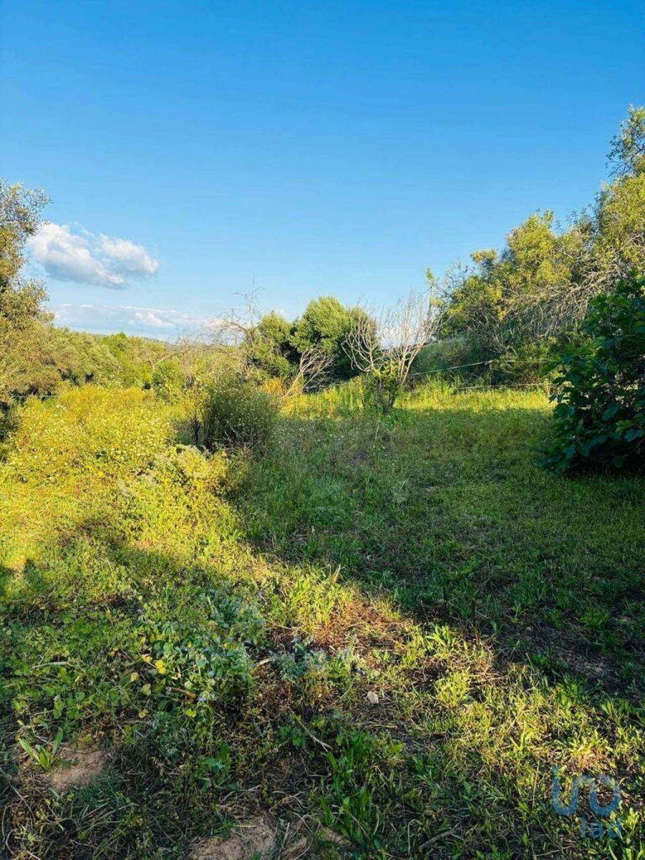 Terreno para Venda em Paderne Foto 3
