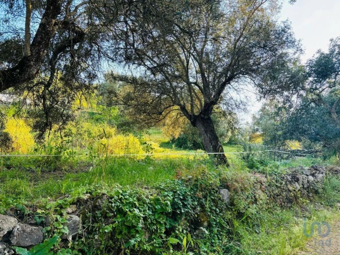 Terreno para Venda em Paderne Foto 5