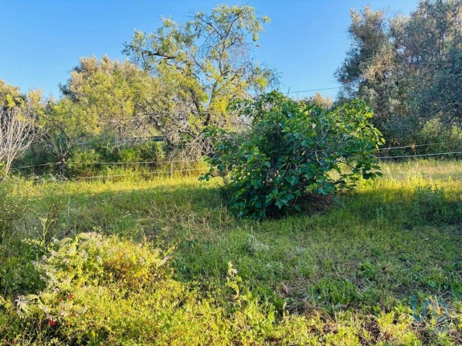 Terreno para Venda em Paderne Foto 10
