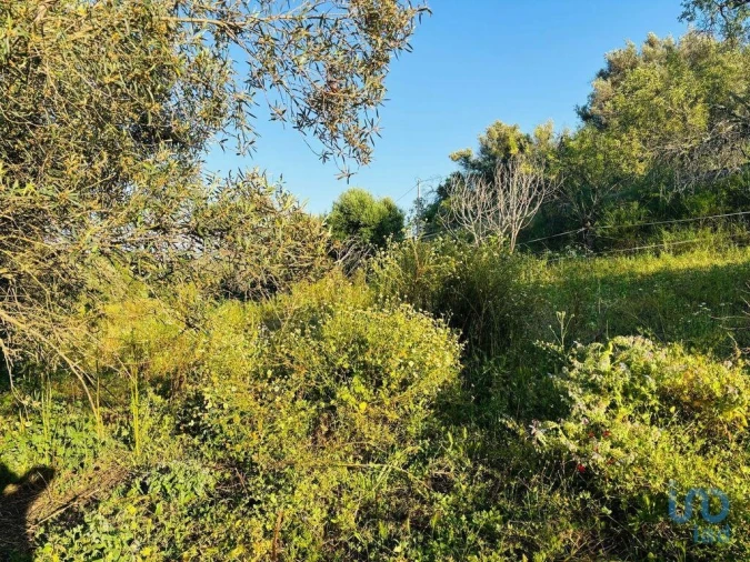 Terreno para Venda em Paderne Foto 9