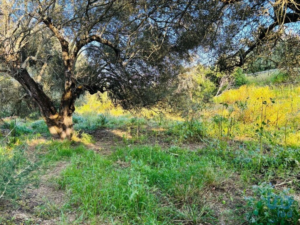 Terreno para Venda em Paderne Foto 11