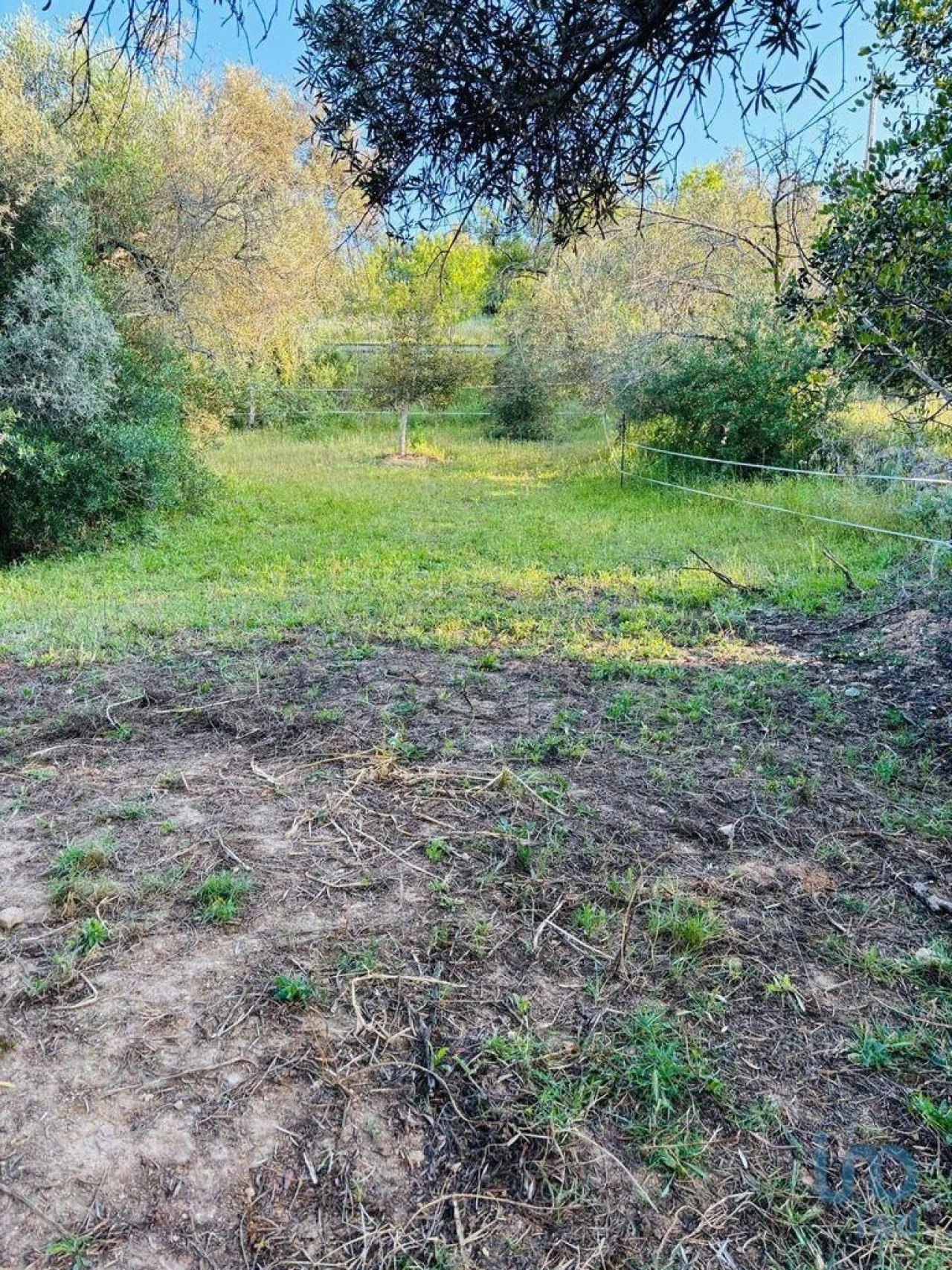 Terreno para Venda em Paderne Foto 6