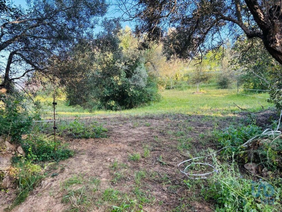 Terreno para Venda em Paderne Foto 4