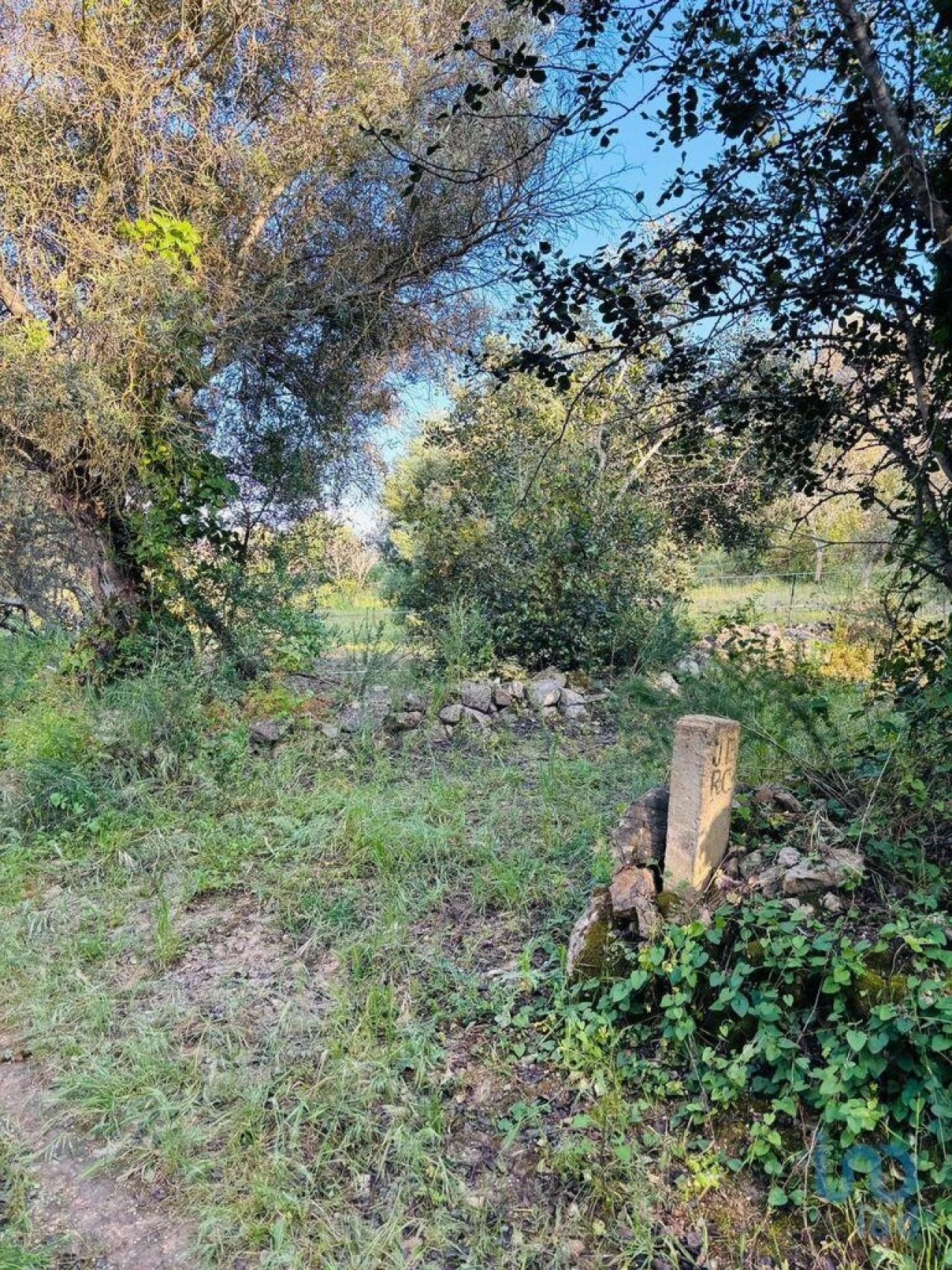 Terreno para Venda em Paderne Foto 2