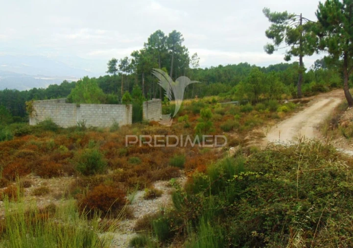 Terreno para Venda em Abaças Foto 2